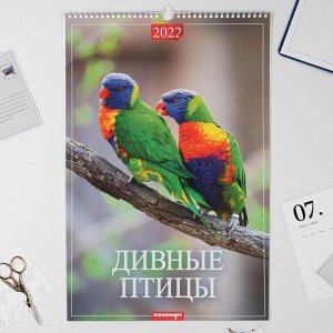 Календарь перекидной на ригеле "Дивные птицы" 2022 год, 320х480 мм