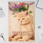 Календарь перекидной на ригеле &quot;Котята&quot; 2022 год, 320х480 мм