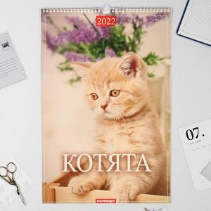 Календарь перекидной на ригеле "Котята" 2022 год, 320х480 мм