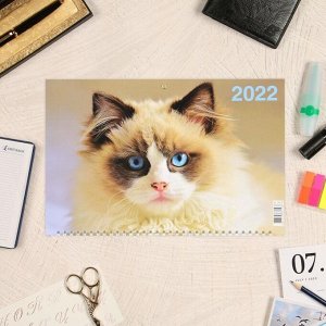 Календарь квартальный трио "Коты, 2022 - 1" 31 х 69 см