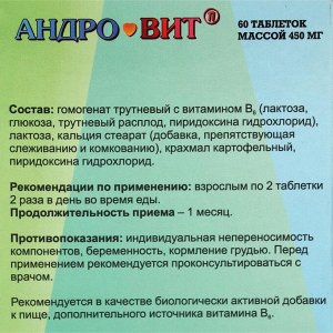 Комплекс «Андро-Вит», повышение уровня мужских половых гормонов, 60 таблеток по 450 мг