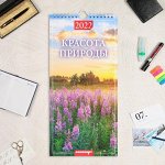 Календарь перекидной на ригеле &quot;Красота природы&quot; 2022 год, 16,5х33,6 см