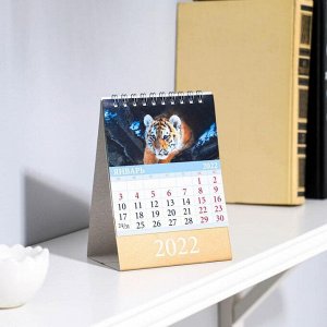 Календарь настольный, домик "Символ года. Вид 2" 2022 год, 10х14 см