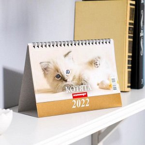 Календарь домик "Котята" 2022год, 20х14 см