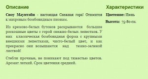 Снежная Гора