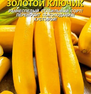 Золотой ключик цуккини 10 шт Плазма кабачок