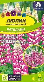 Люпин Чателайн/Сем Алт/цп 0,3 гр. многолетник