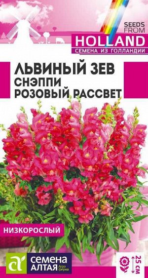 Львиный зев Снэппи Розовый рассвет/Сем Алт/цп 10 шт ГОЛЛАНДИЯ