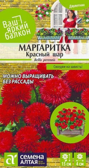 Цветы Маргаритка Красный шар/Сем Алт/цп 0,05 гр. Ваш яркий балкон