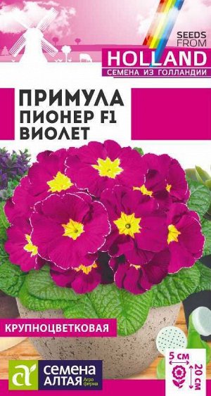 Примула Пионер Виолет/Сем Алт/цп 5 шт двулетник ГОЛЛАНДИЯ