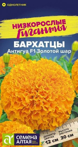 Цветы Бархатцы Антигуа F1 Золотой шар/Сем Алт/цп 5 шт. Низкорослые гиганты