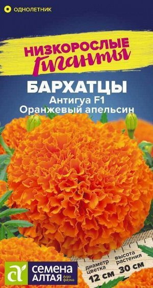 Цветы Бархатцы Антигуа Оранжевый апельсин/Сем Алт/цп 5 шт. Низкорослые гиганты