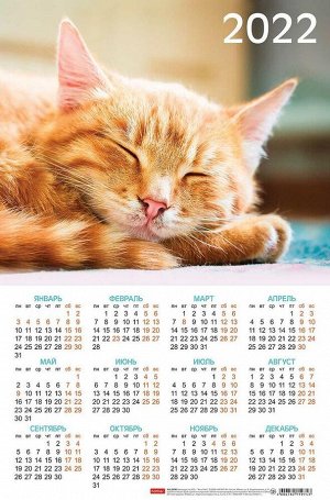 Календарь настенный листовой А3ф 29х44см на 2022г Картон мелованный -Мур-Мяу-