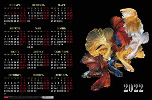 Календарь настенный листовой А3ф 29х44см на 2022г Картон мелованный-Экспрессия-