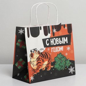Пакет подарочный крафтовый «Забавный тигруля», 25 ? 22 ? 12 см
