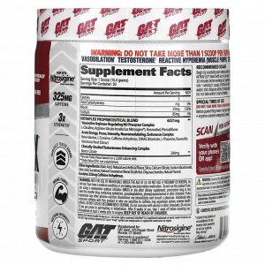 GAT, Sport, NITRAFLEX, со вкусом фруктового пунша, 312 г (11 унций)