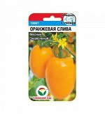 Оранжевая слива 20шт томат (Сиб Сад)