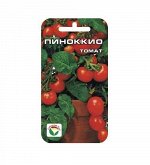 Пиноккио 20шт томат (Сиб сад)