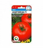 Андромеда F1 15шт томат (Сиб сад)