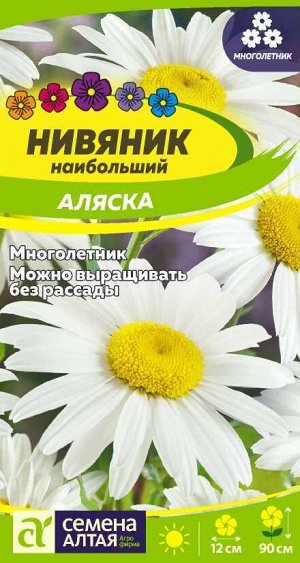 Цветы Нивяник Аляска 0,1 гр. многолетник