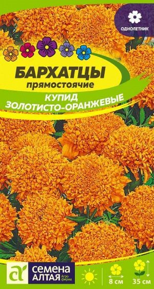 Бархатцы Купид Золотисто-Оранжевые/Сем Алт/цп 0,3 гр.