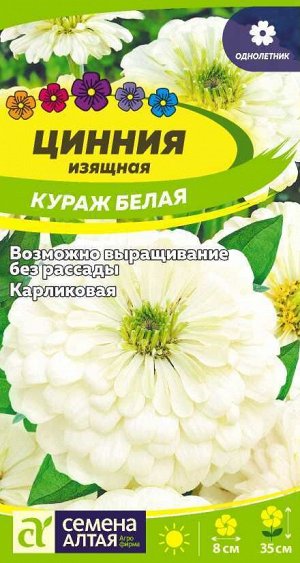 Цинния Кураж Белая карликовая 0,3гр