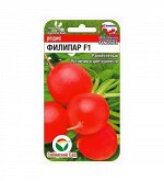*****Филипар F1 60шт редис (Сиб Сад)