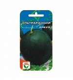 Ультраранний 10шт арбуз (Сиб сад)