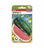 Фарао 4шт арбуз (Сиб Сад)