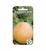 Евдокия 7шт дыня (Сиб Сад)