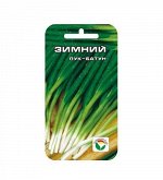 Батун Зимний 1гр лук (Сиб сад)