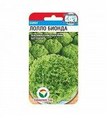 Лолла Бионда 1гр салат (Сиб Сад)***