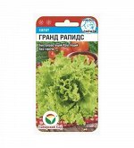Гранд Рапидс 0,5гр салат (Сиб Сад)