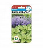 Котовник Кошачий бархат 0,4гр (Сиб Сад)