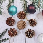 Украшение новогоднее &quot;Шишки с золотым инеем&quot; 5,5 см (набор 6 шт)