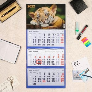 Календарь квартальный, трио "Символ года - 12" 2022 год, 31 х 69 см