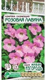 Азарина лазающая Розовая Лавина (5 шт)