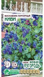 Восковник пурпурный Киви (5 шт)