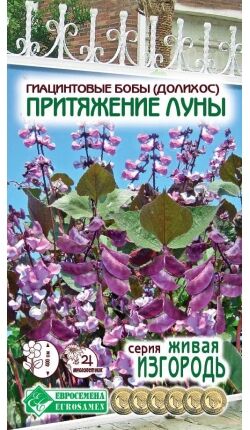 Гиацинтовые Бобы (Долихос) Притяжение Луны (3 шт)