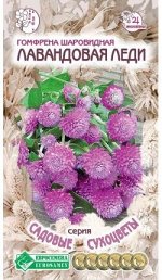 Гомфрена шаровидная Лавандовая Леди (0,1 гр)