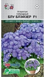 Агератум гибридный Блу Блэйзер F1 (5 шт)