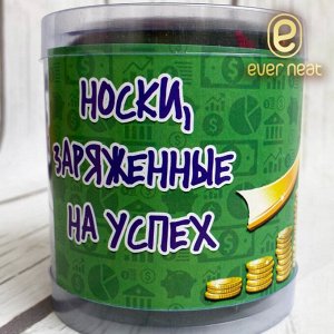 ever neat Носки в банке 111-002 &quot;Подарочные&quot; мужские (1 пара) (ЕН)