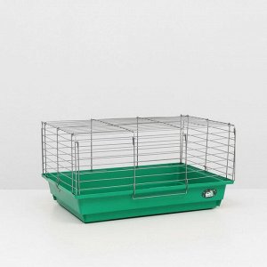 Клетка для кроликов, морских свинок "Пижон" №6, хром, 58 х 40 х30 см, зеленый микс