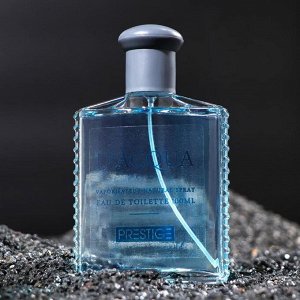 Туалетная вода мужская Prestige D'Acqua, 100 мл