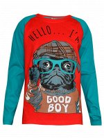 Футболка для мальчиков Baby Style ММ 2185. Длинный рукав, с принтом. 100%Хлопок. пр. Узбекистан.