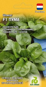 Шпинат Пума F1 1 г (Голландия) Н21