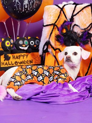 SheIn Комбинезон на хэллоуин с рисунком для домашних животных