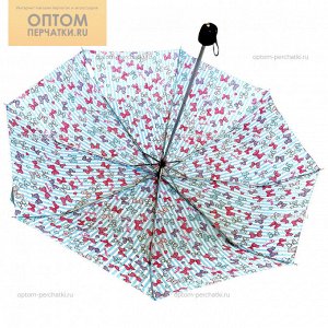 Зонт женский ЭКОНОМ-сегмента
