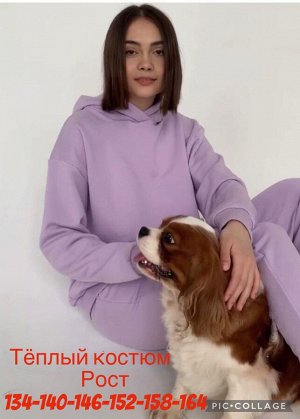 Костюм двойка с начесом