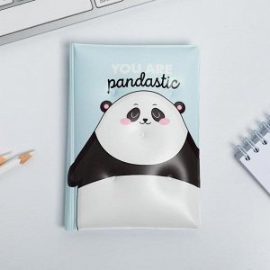Подарочный набор новогодний обложка на паспорт и ежедневник антистресс Pandastic winter!